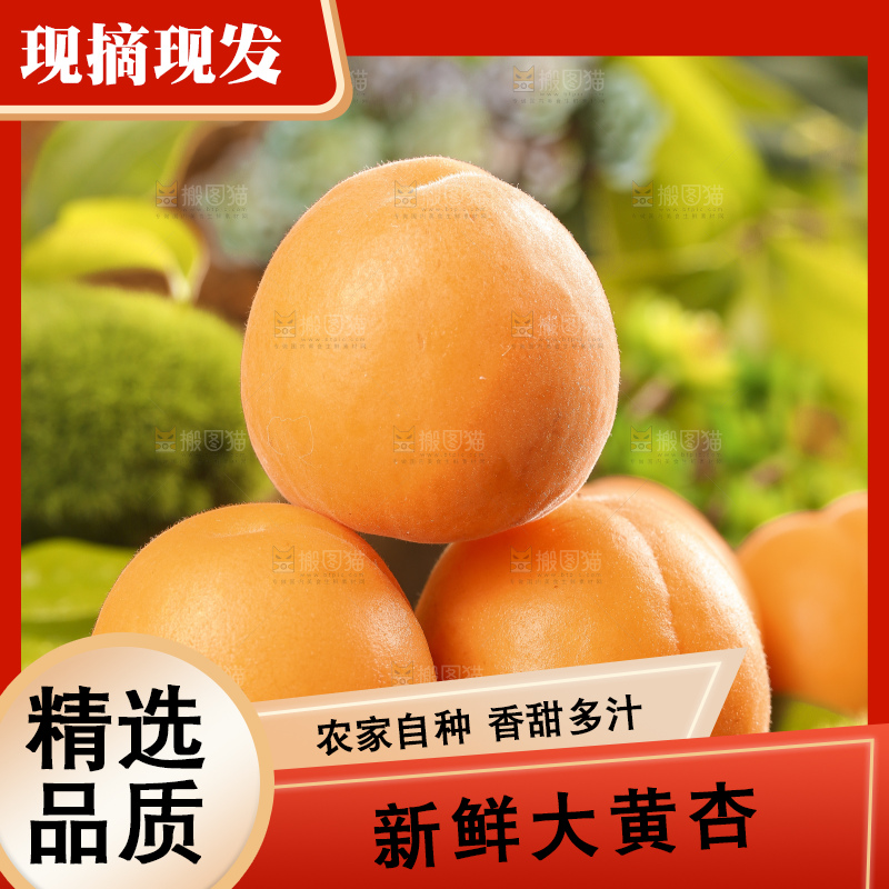 深底上摆放着烟台杏子