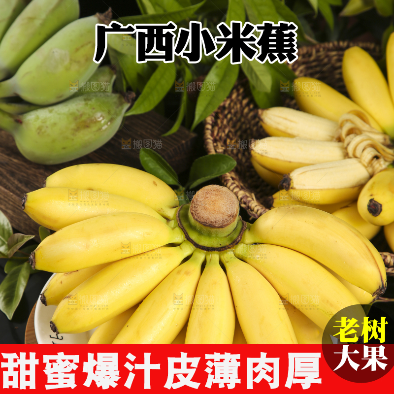 盘子里装着小米蕉