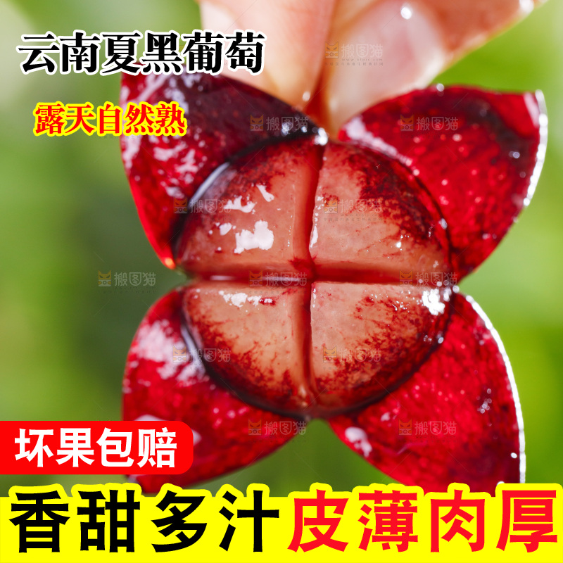 夏黑葡萄