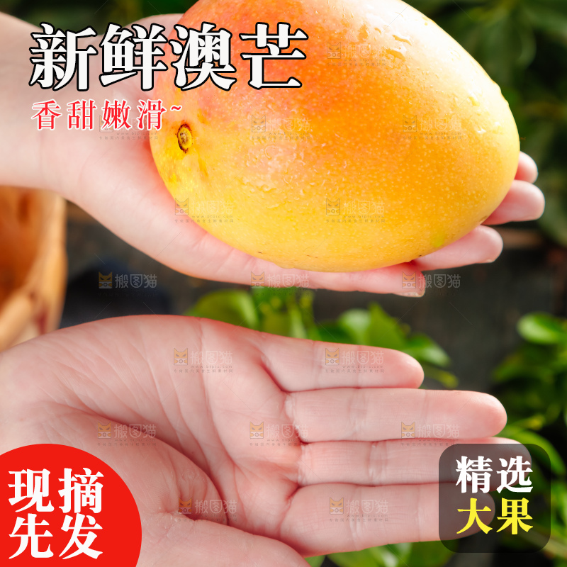 手里拿着黄金澳芒