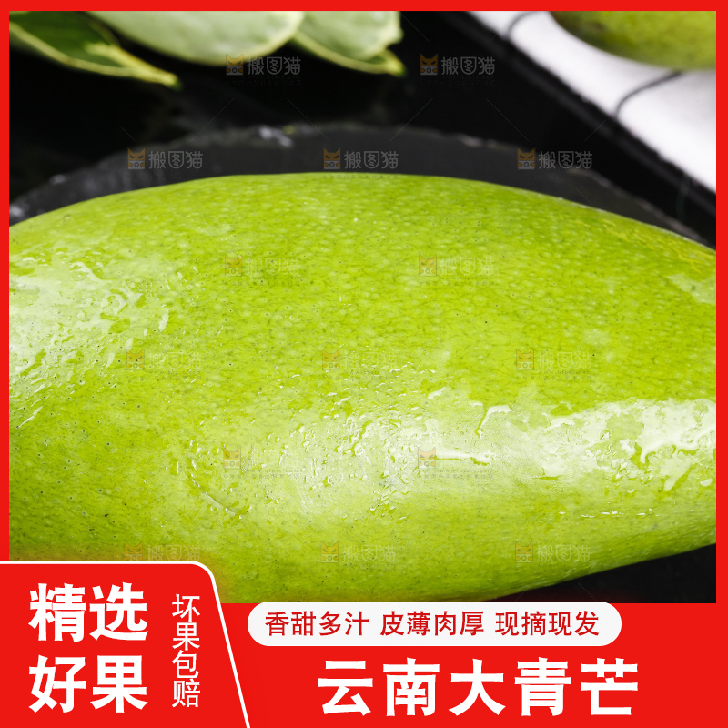 黑底上放着大青芒