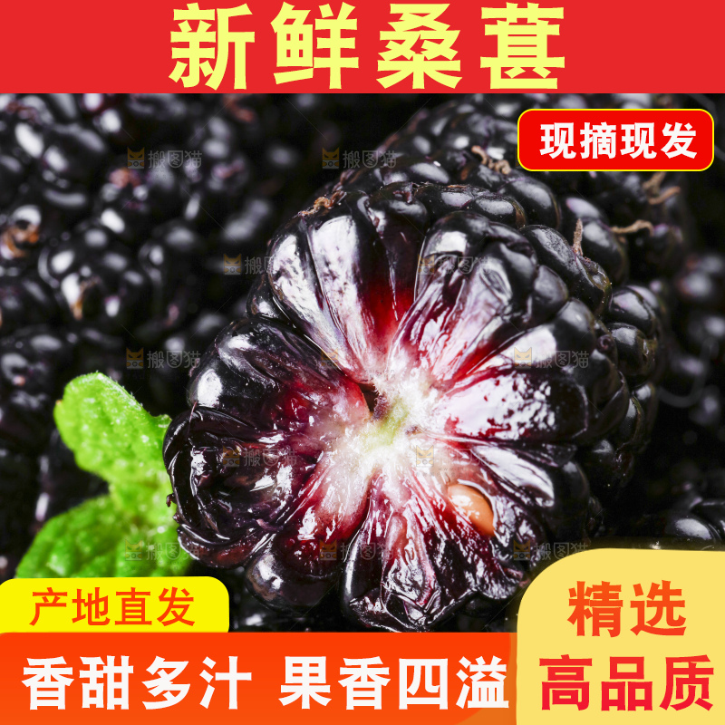 堆放着一堆桑枣