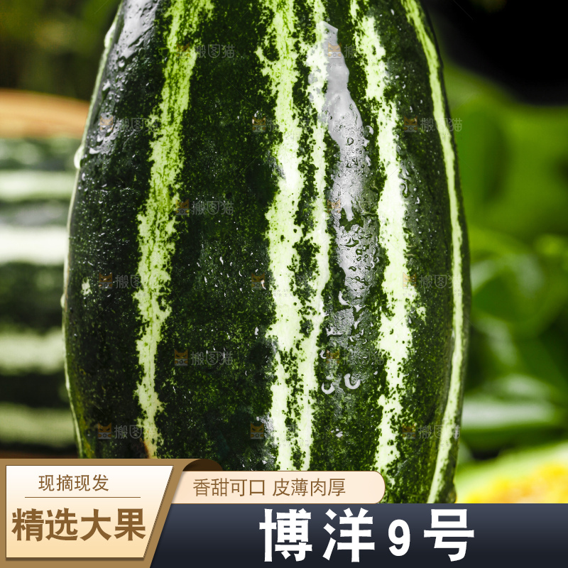 手里拿着花皮甜瓜