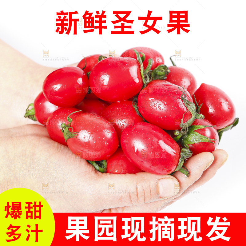 手里捧着小番茄