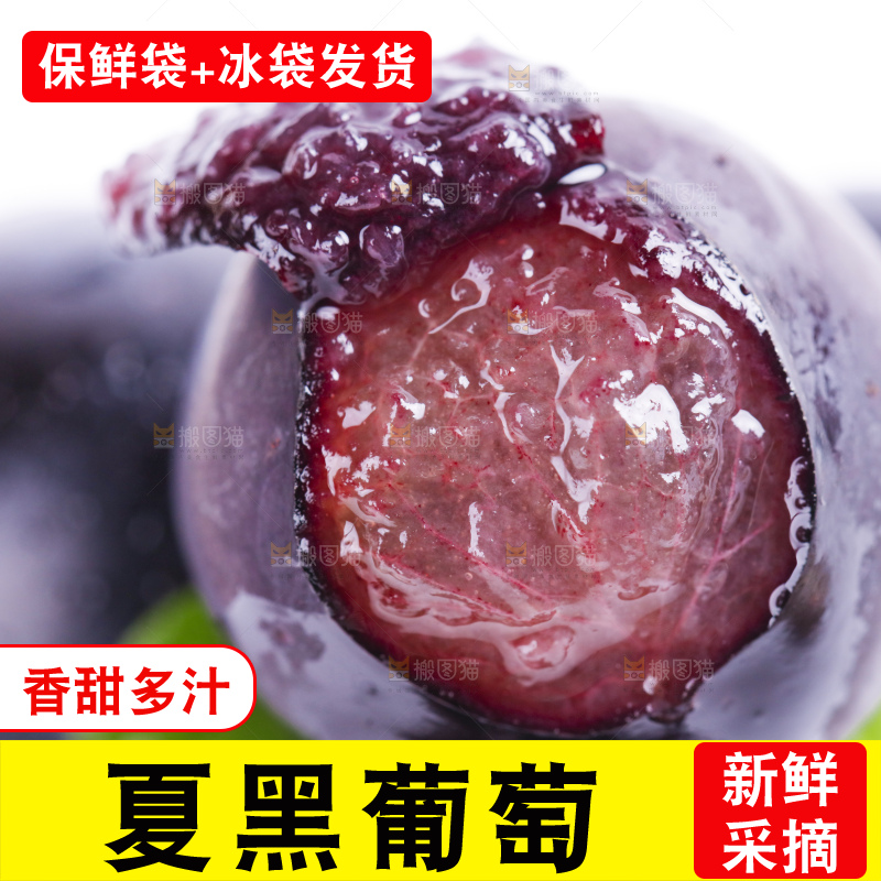 白底上摆放着夏黑葡萄