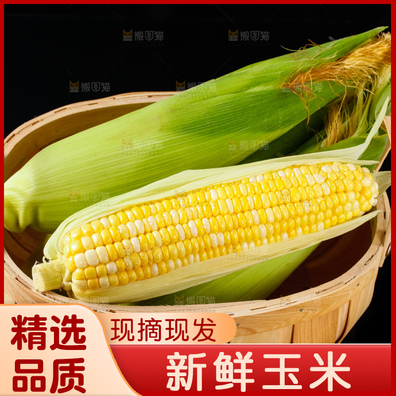 篮子里装着新鲜玉米
