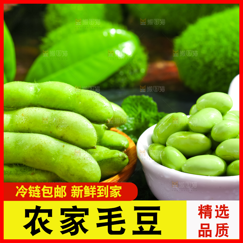 深底上摆放着嫩毛豆