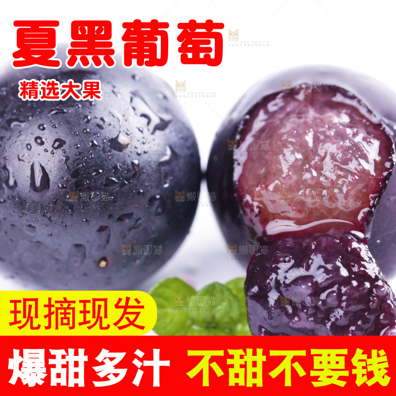 白底上摆放着夏黑葡萄