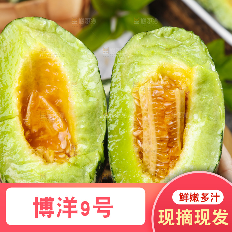 手里拿着美洋甜瓜