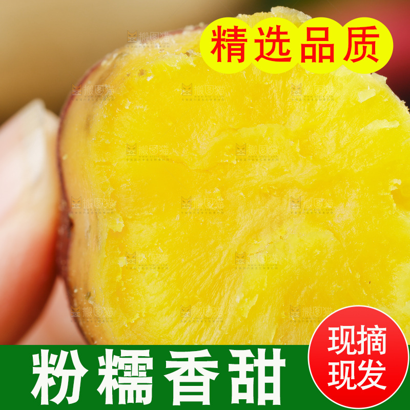 手里拿着临安小香薯