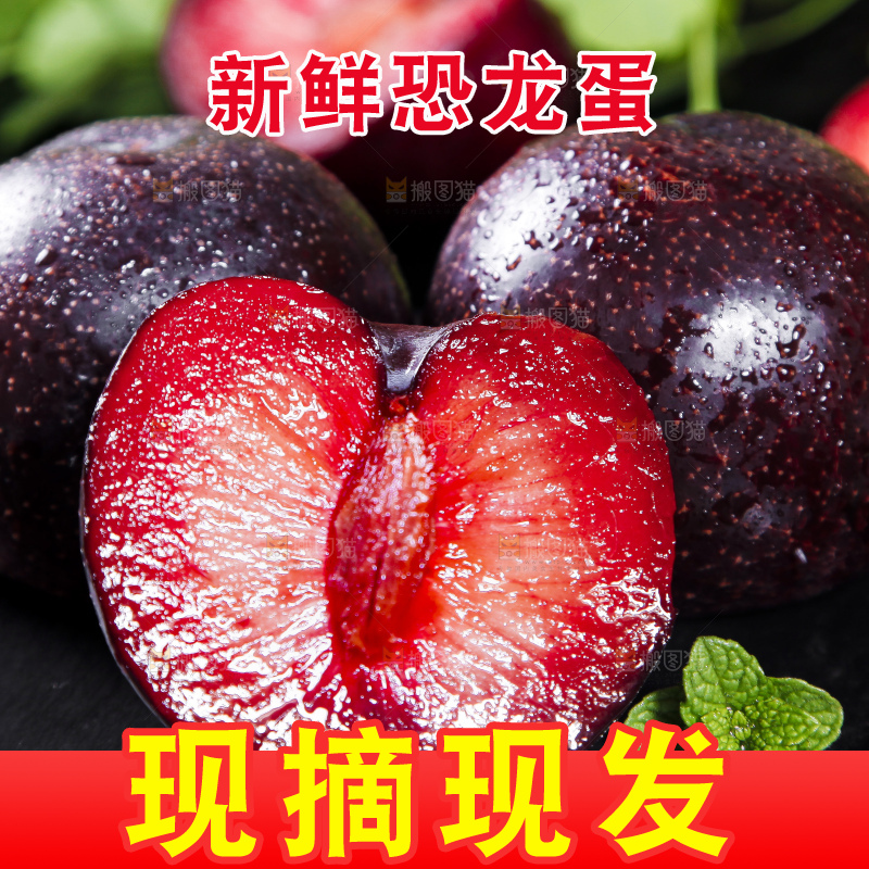 深底上摆放着恐龙蛋李