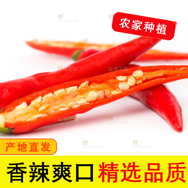 白底上摆放着广西小米椒