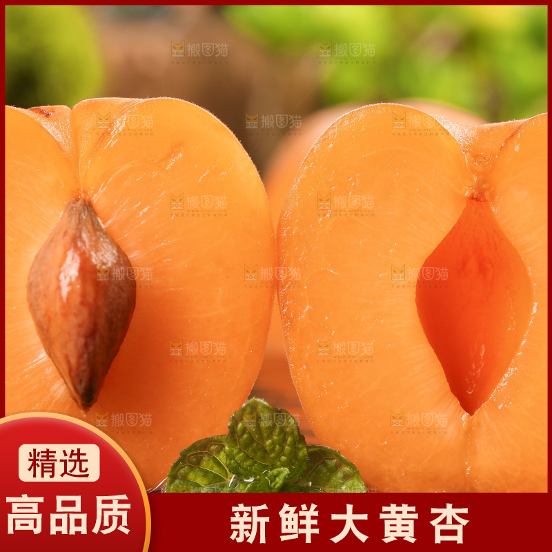 木底上摆放着大黄杏