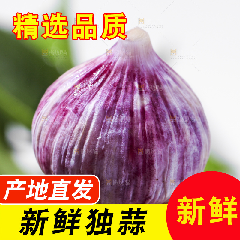 手里拿着独蒜头