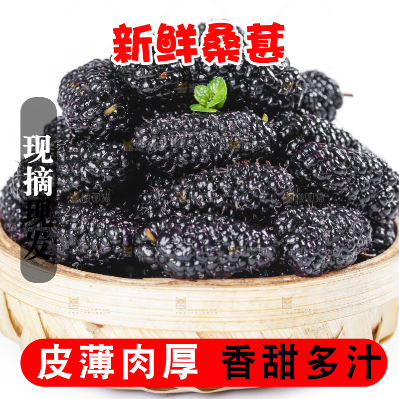 篮子里装着黑桑葚