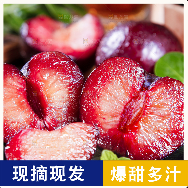 深底上摆放着恐龙蛋李