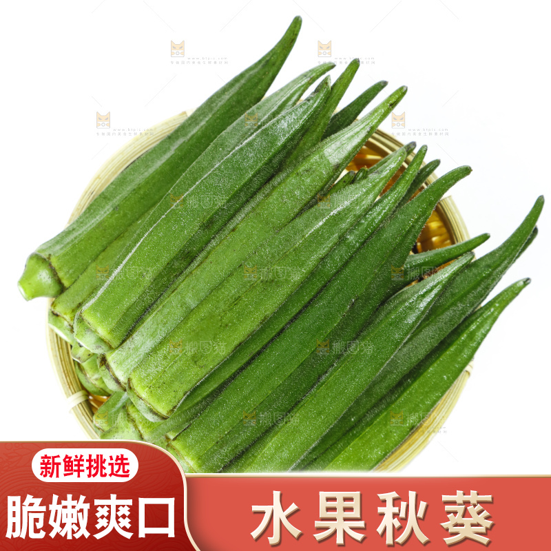篮子里装着山东新鲜秋葵