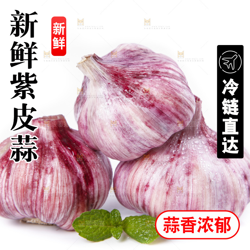 白底上放着紫皮蒜