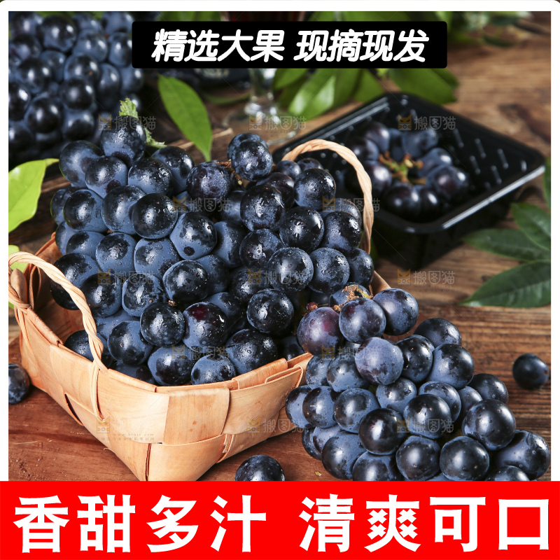 篮子里装着黑加仑葡萄