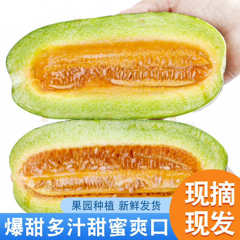 手里拿着美洋甜瓜