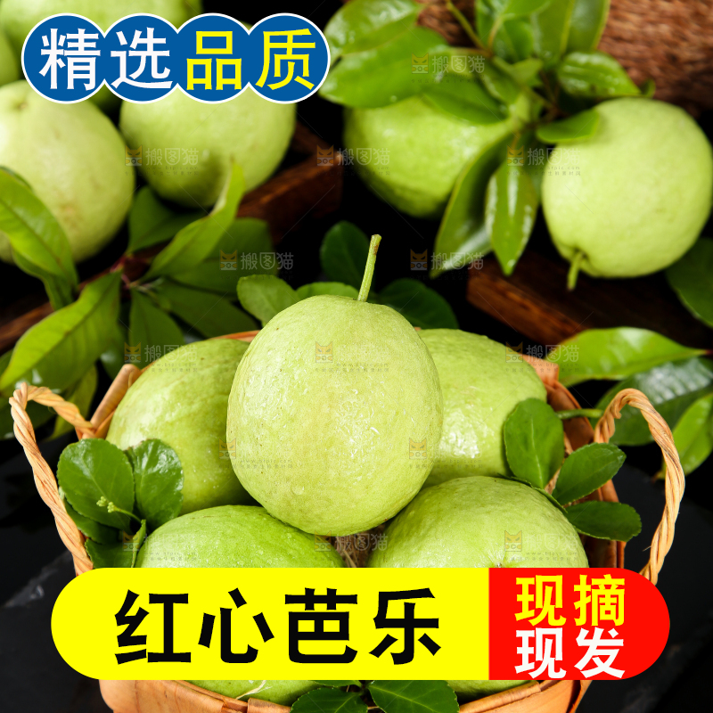 篮子里装着广西红心芭乐