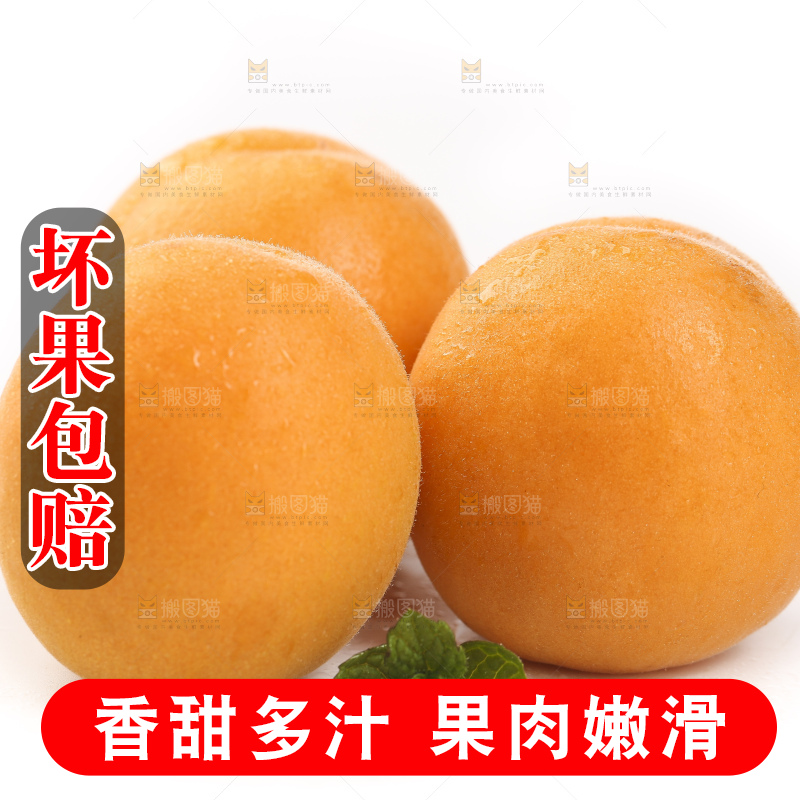 白底上放着山东大黄杏