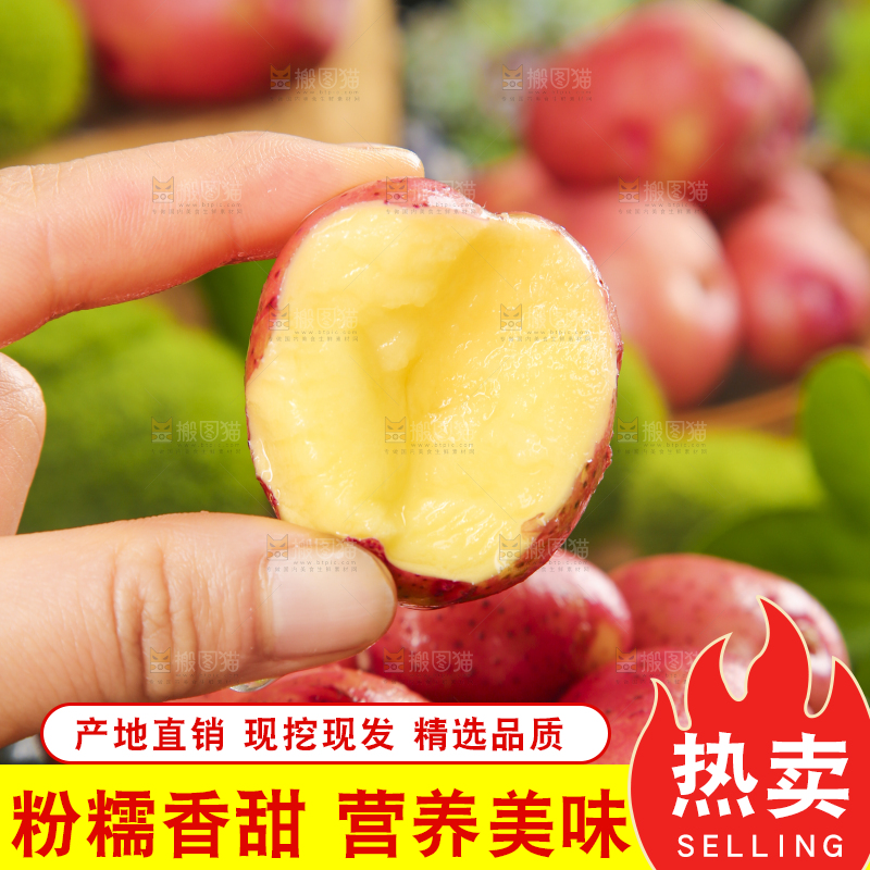 手里拿着红土豆