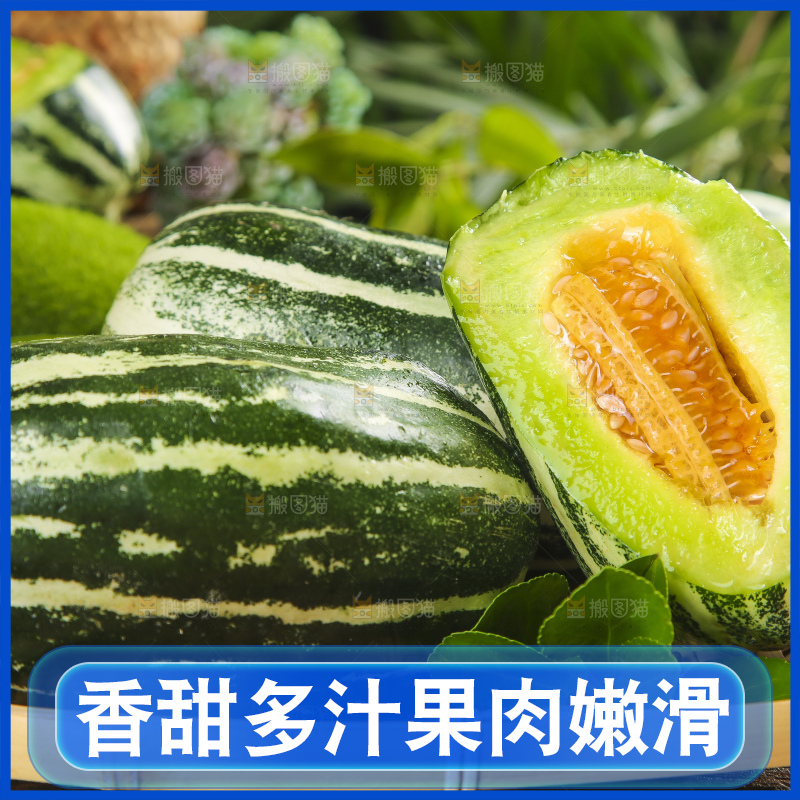 篮子里装着博洋9号甜瓜
