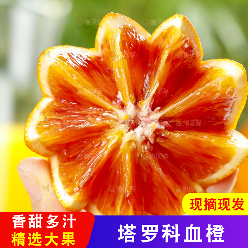 手里拿着塔罗科血橙