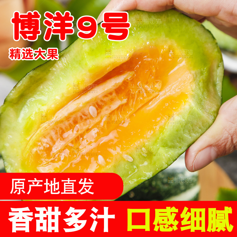 手里拿着美洋甜瓜