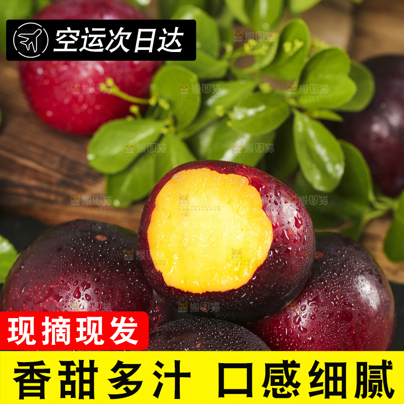 深底上放着黑布朗