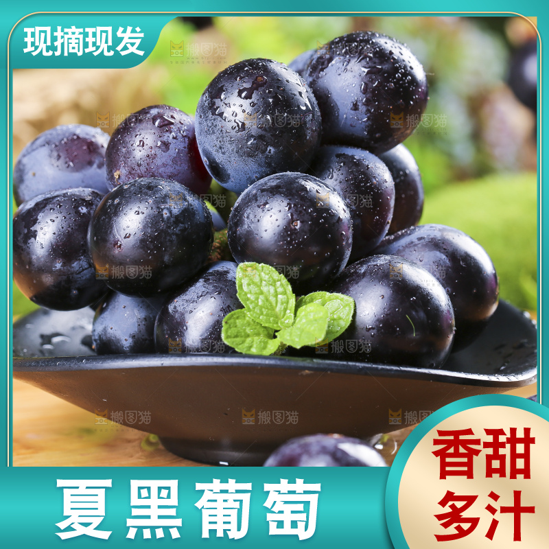 碟子里装着黑加仑