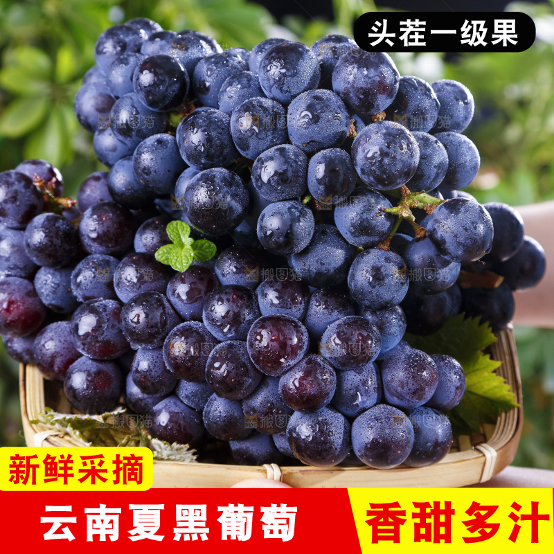手里拿着一篮夏黑葡萄