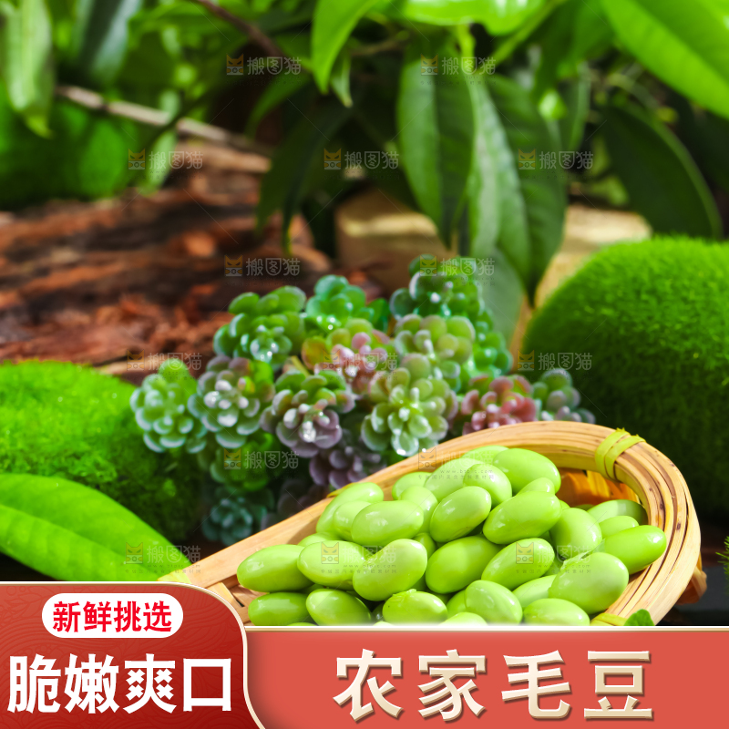 篮子里装着青豆