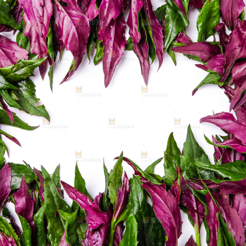 浅底上放着紫背菜