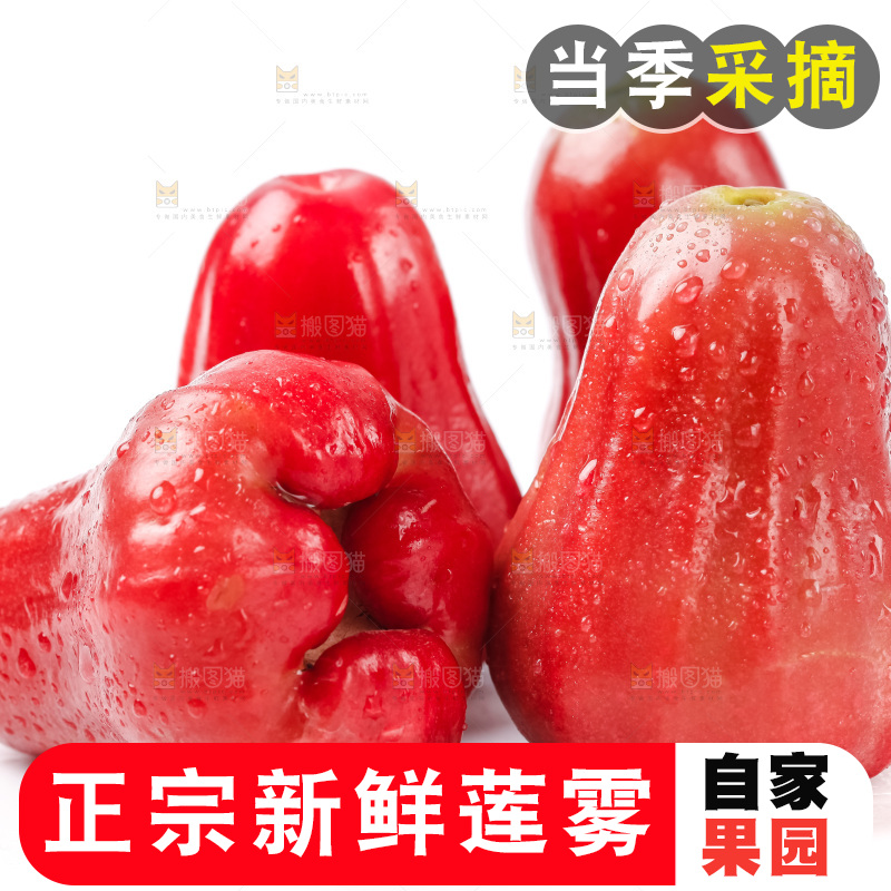 白底上放着红宝石莲雾