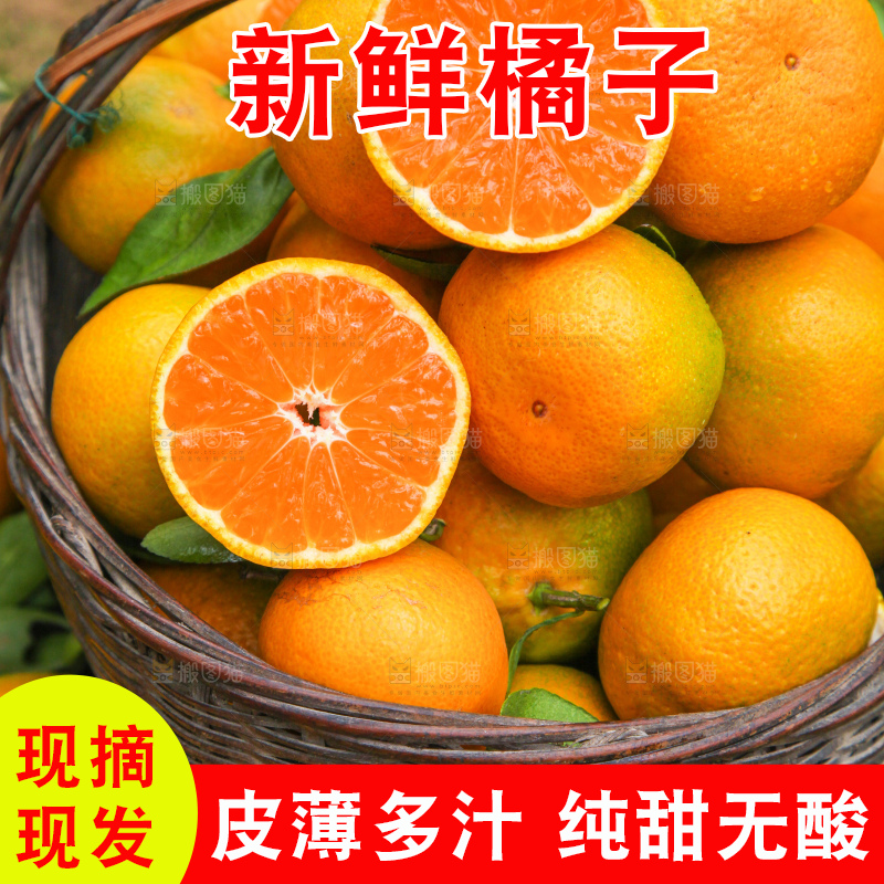 篮子里装着橘子