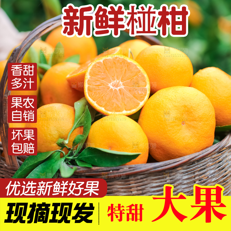 篮子里装着椪柑