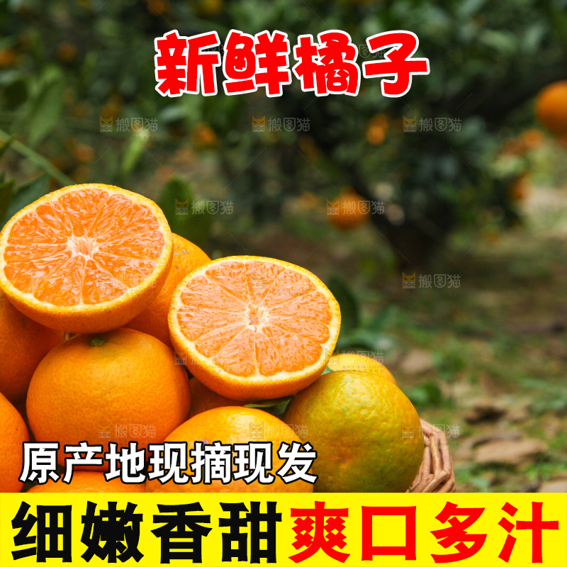 篮子里装着橘子