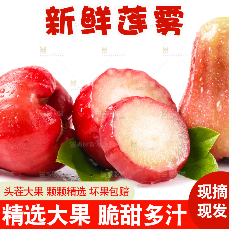 白底上摆放着海南莲雾