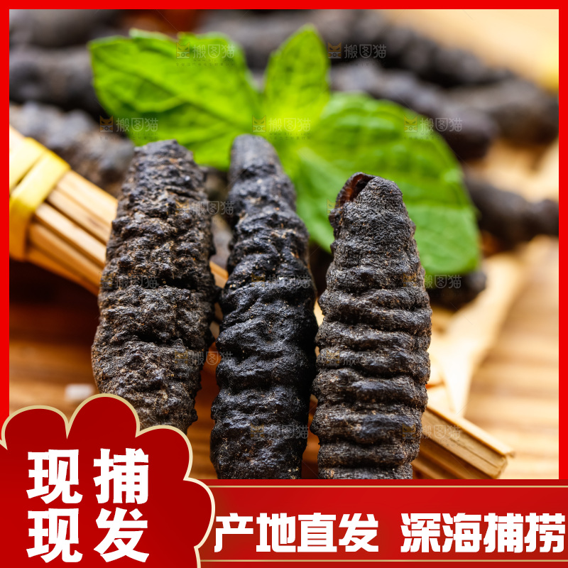 篮子里装着野生海参