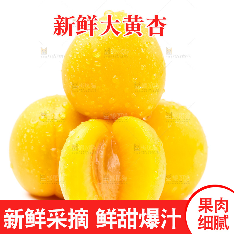 白底上摆放着麦黄杏