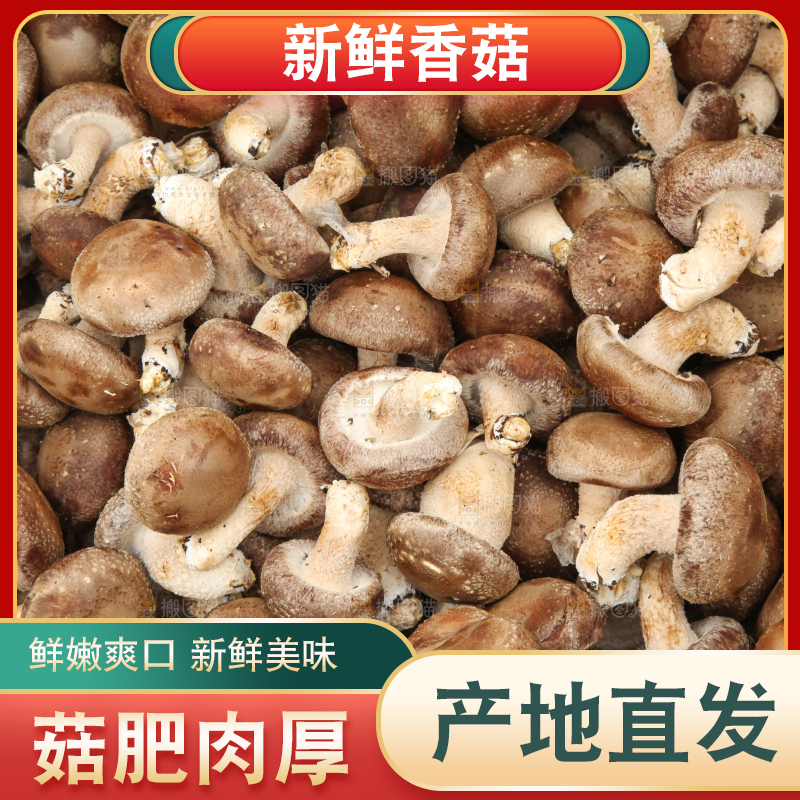 框子里装着香菇