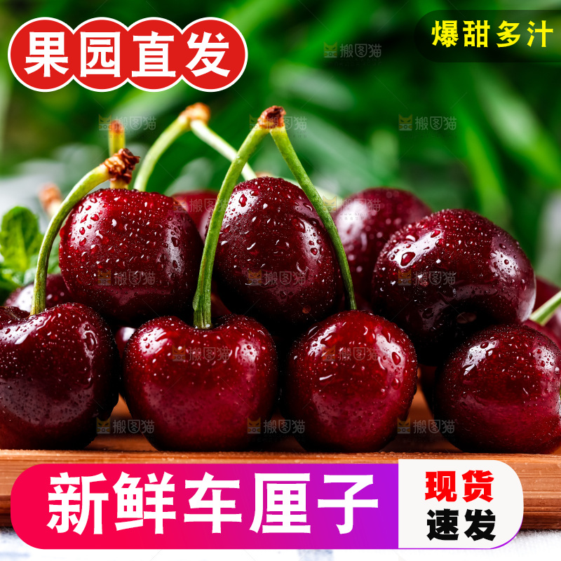 木盘里装着大连黑珍珠樱桃