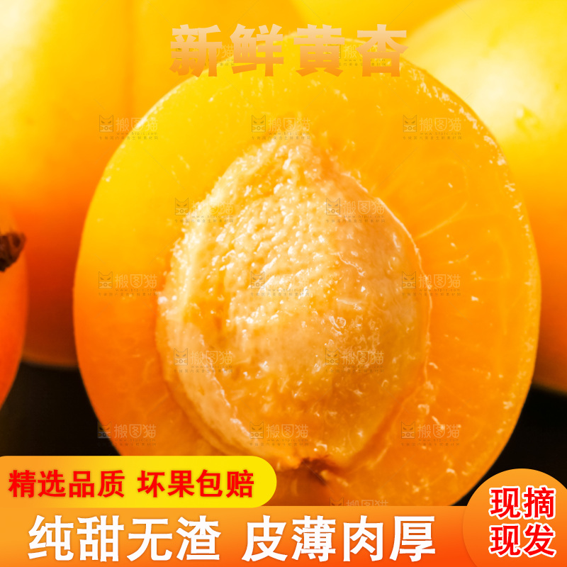 黑底上摆放着新鲜麦黄杏