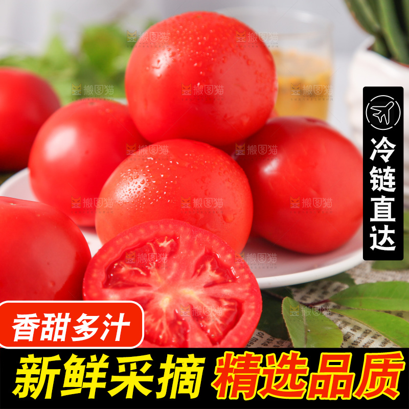 浅底上摆放着沙瓤西红柿