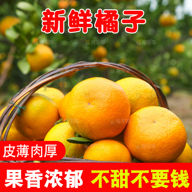 篮子里的蜜橘