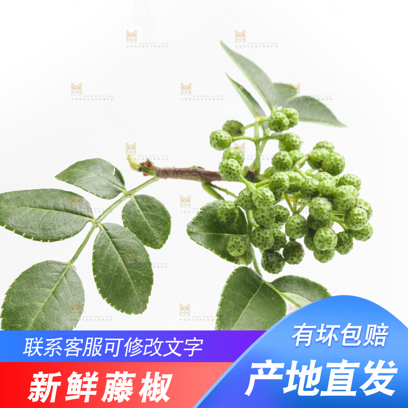 白底上摆放着藤椒