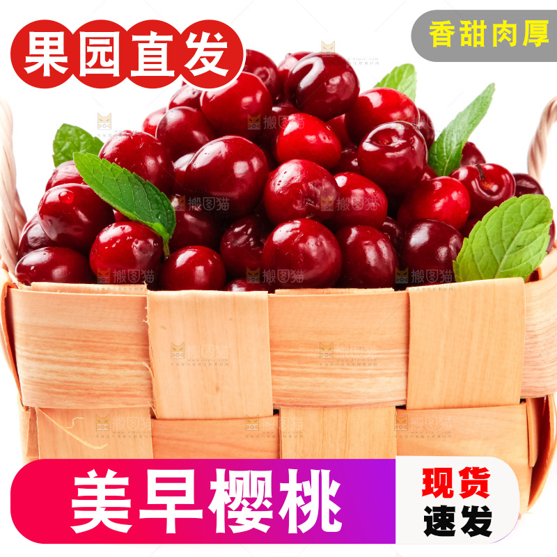篮子里装着新鲜樱桃