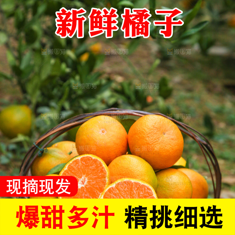 篮子里的新鲜橘子